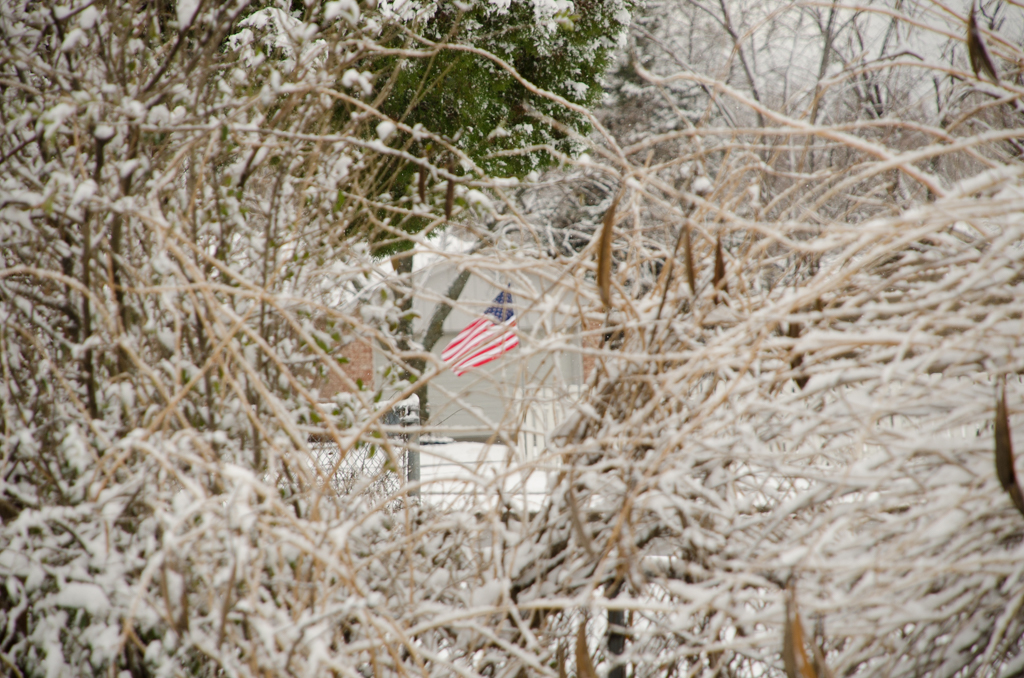 2014-12-27_snowfall flag_1024-1